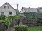 Třibřichy